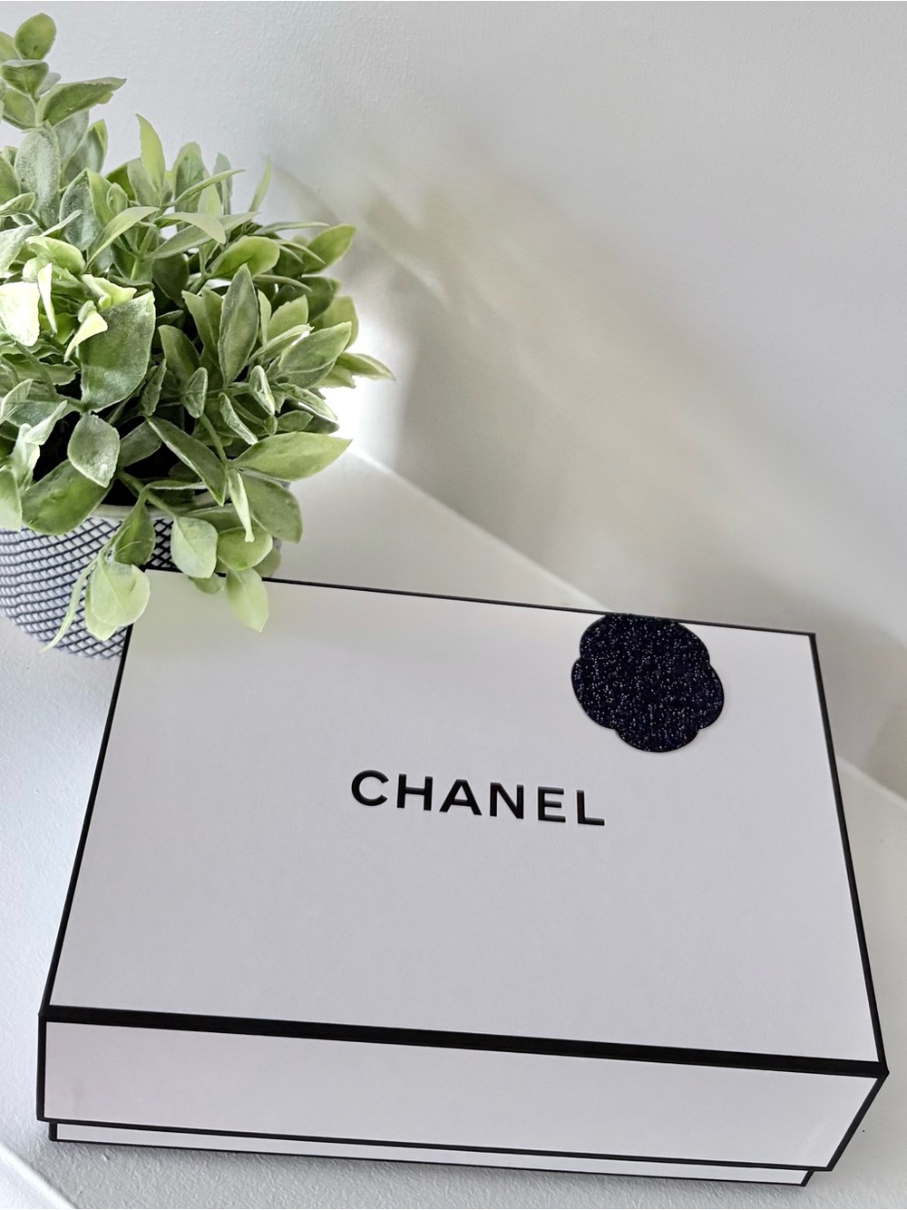 CHANEL White Box with Black Accent